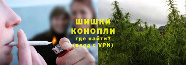 гашик Аркадак