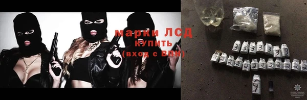 гашик Аркадак