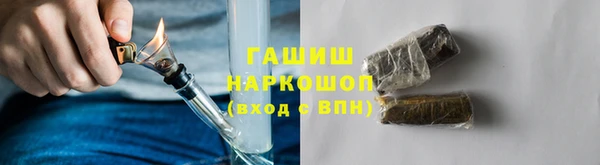 гашик Аркадак