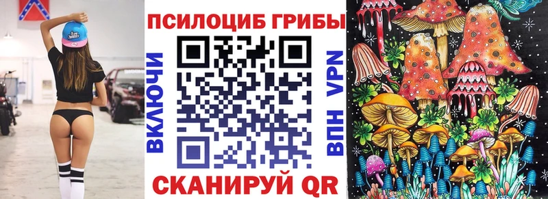 Псилоцибиновые грибы Psilocybe  Балей 